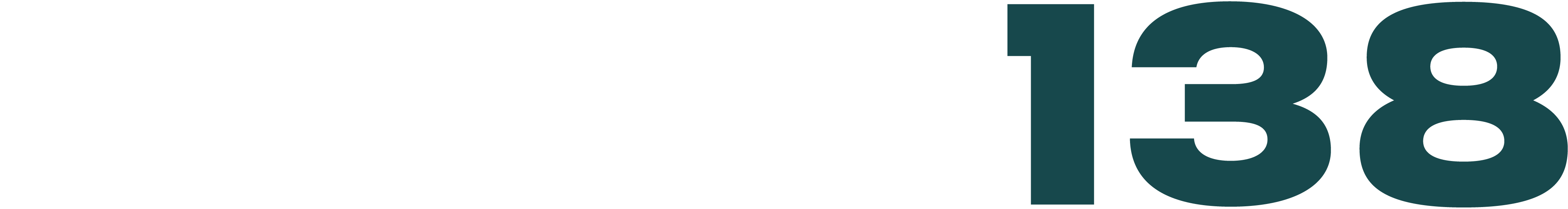 USER138 logo
